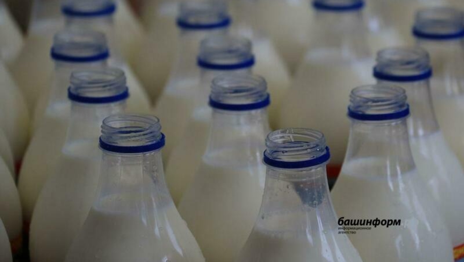 Минсельхоз РФ полностью компенсирует поставку молочной продукции в беднейшие страны