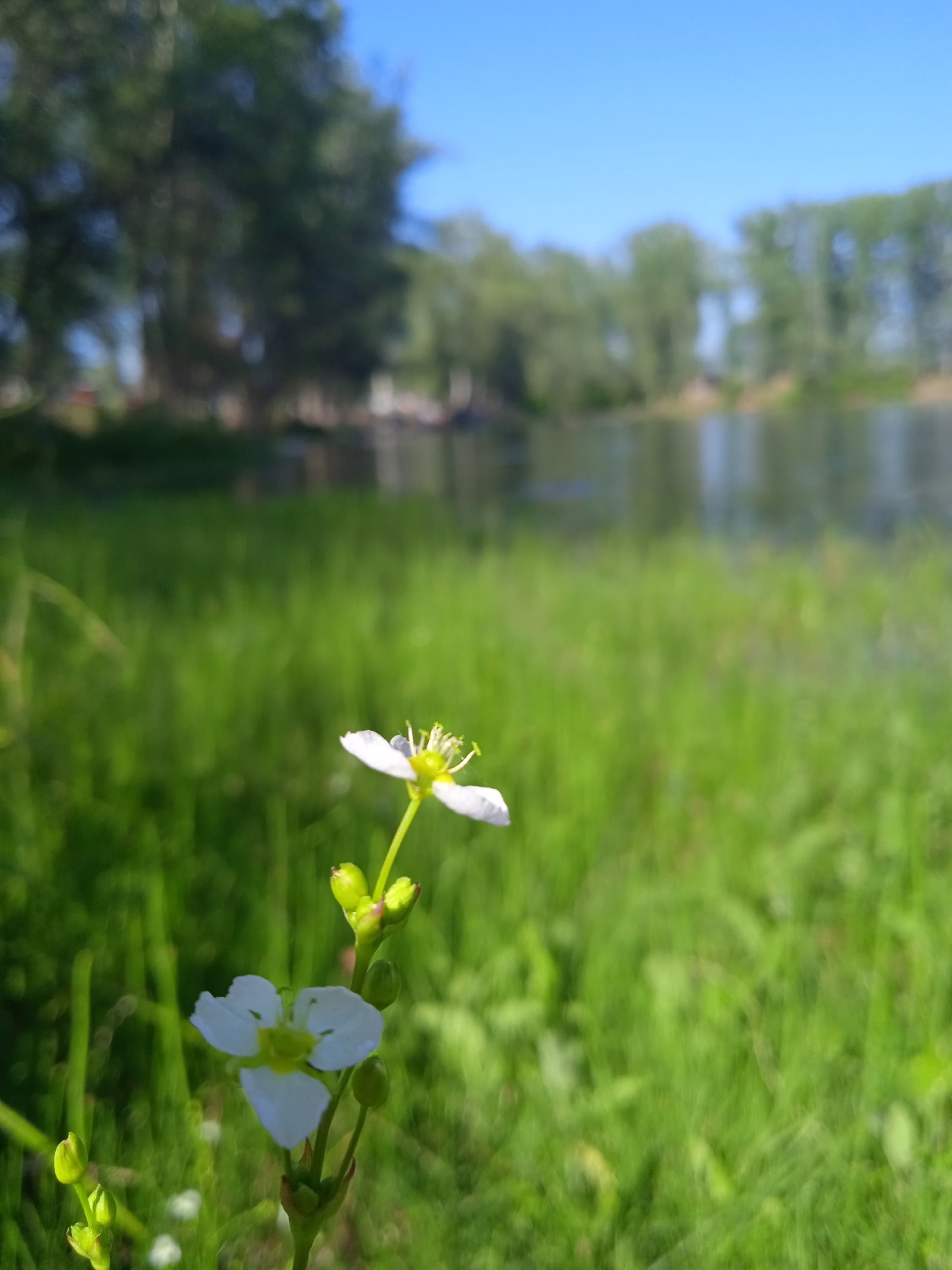 Февралдә баҡсасыларҙың мөһим эштәре башлана