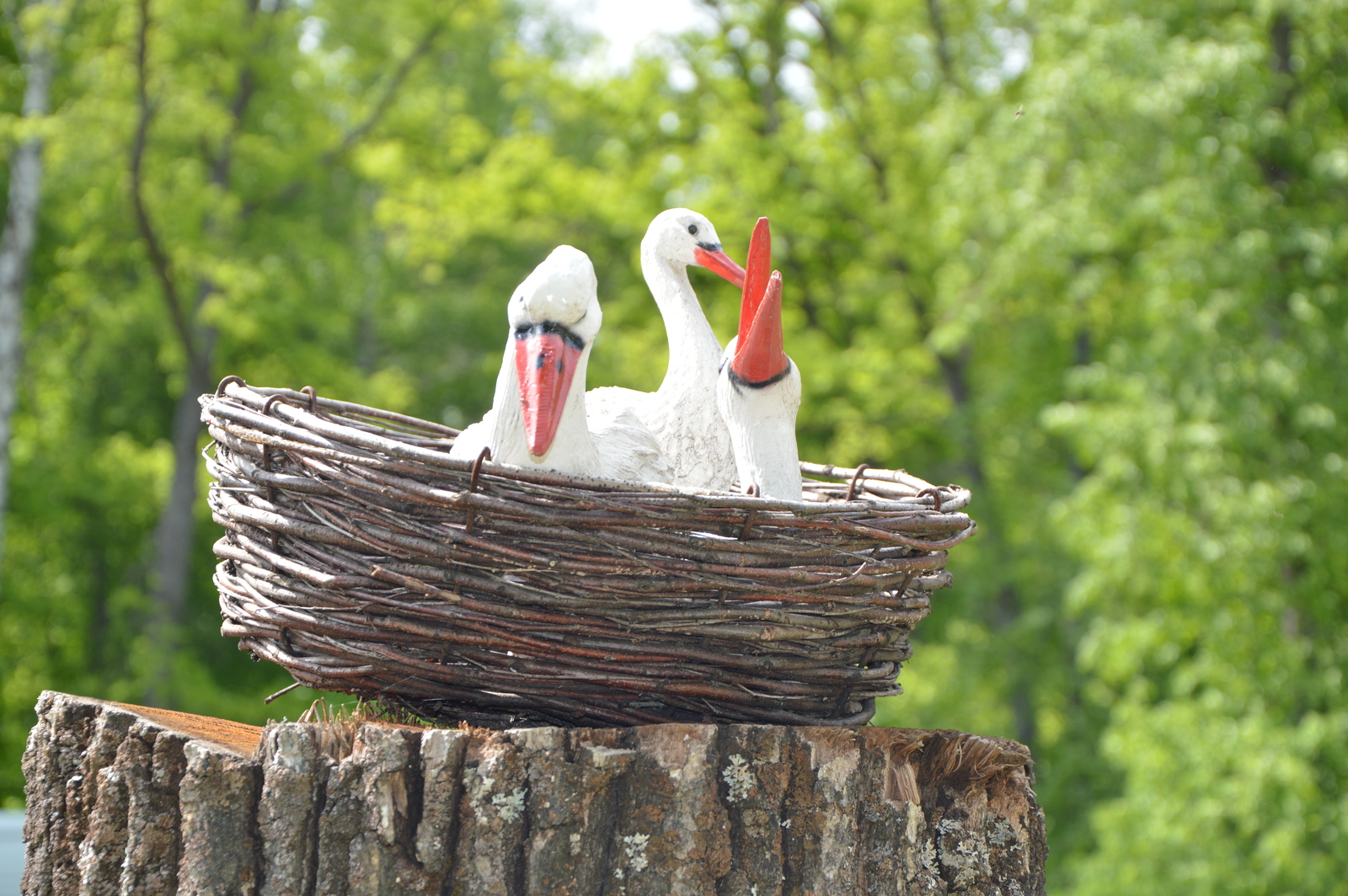 Дейеү һуйҙығыҙмы әллә?