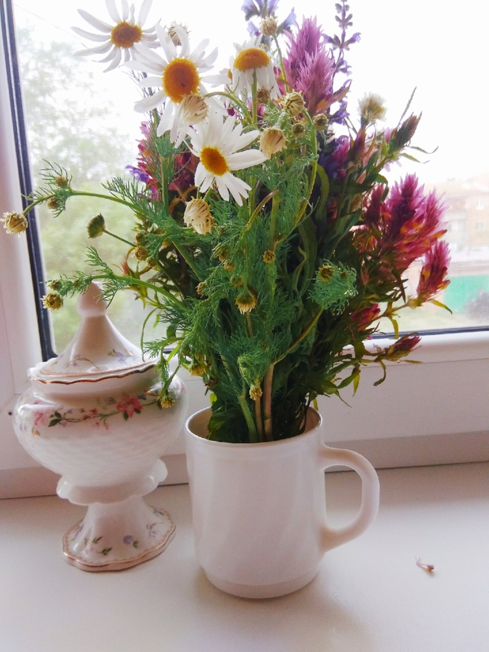 АЛТЫН ҠОМҒАН