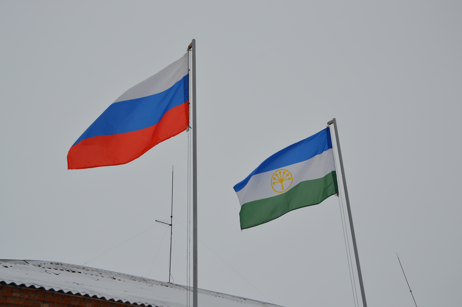 Гуманитар ярҙам