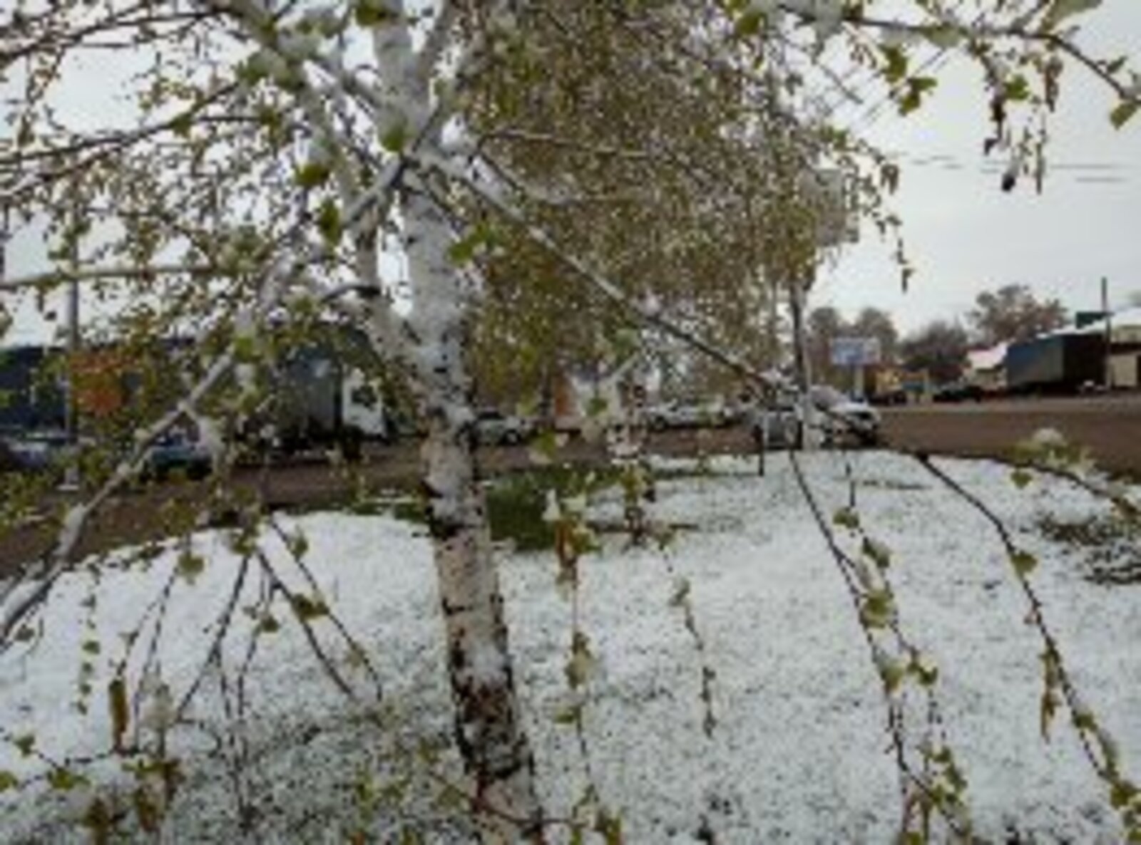 Ғибрәтле яҙмыш. Миңзәлә Хәлилова.