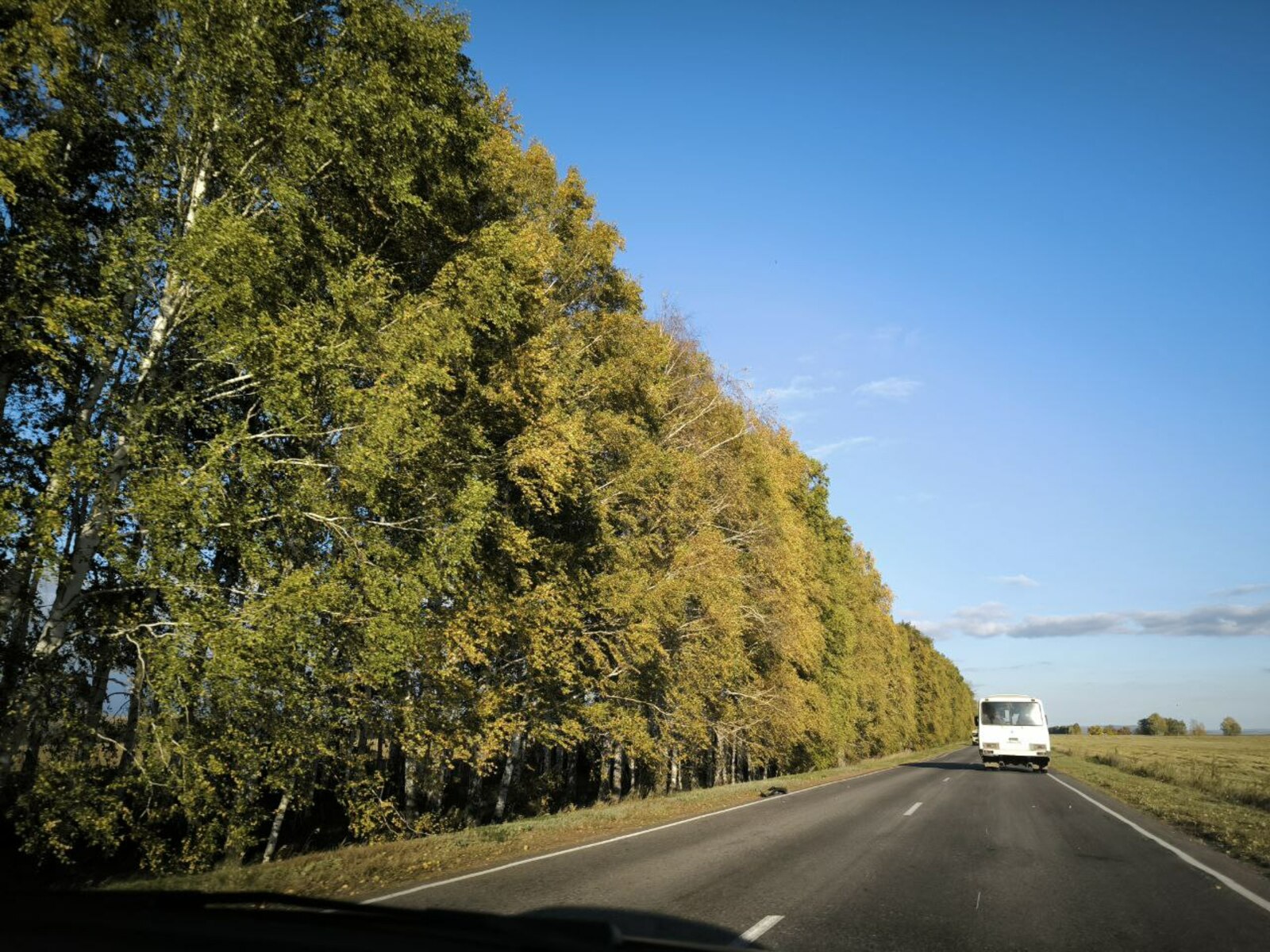 Мәһәр бирелмәгән булһа