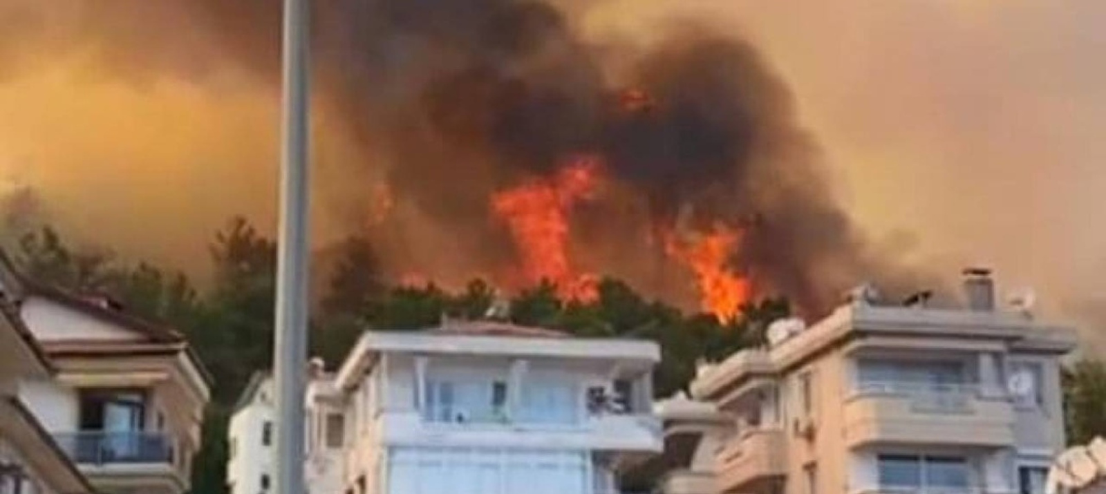 В Турции горят леса