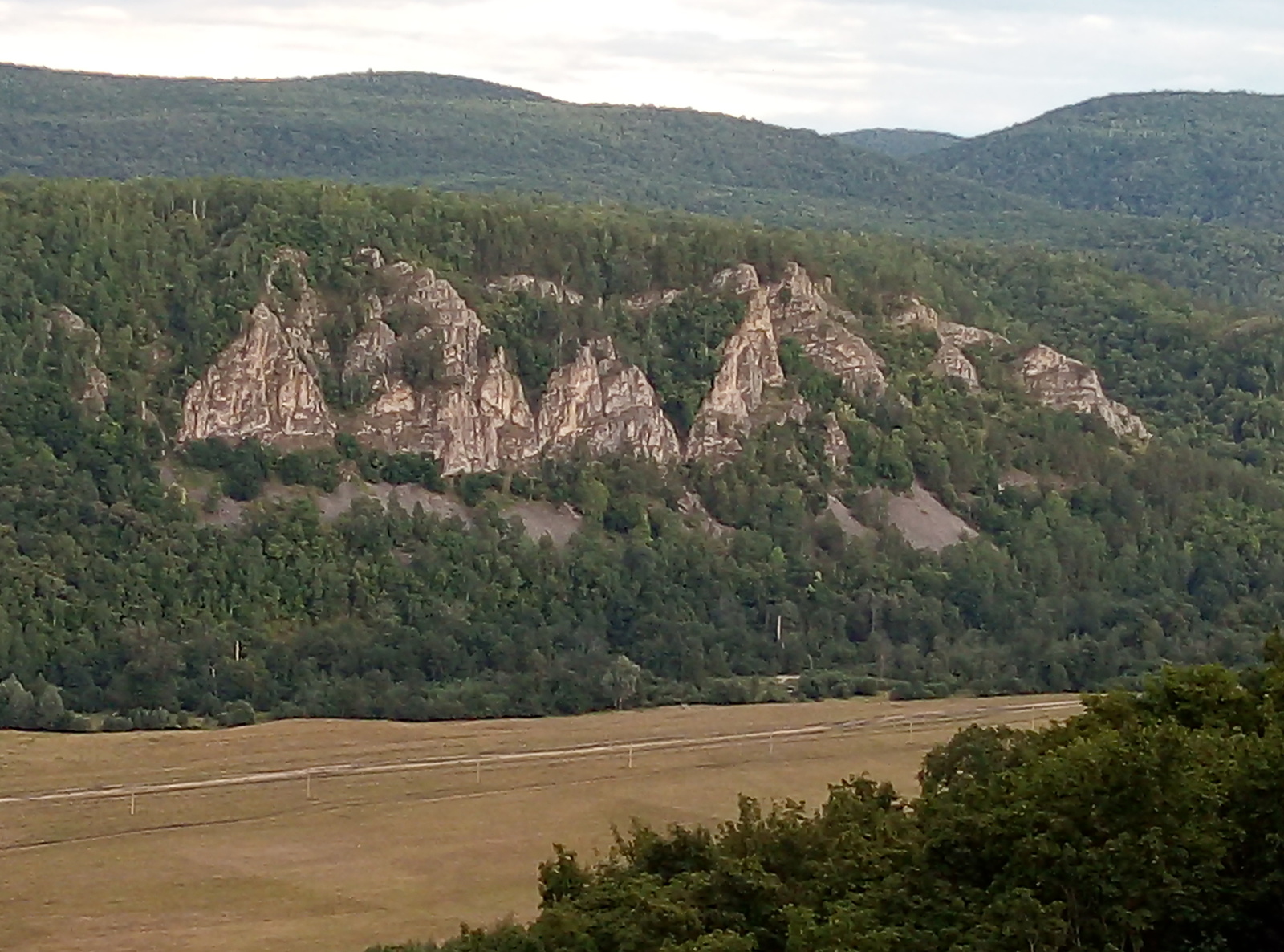 Башҡортостан урмандарҙы һаҡлауға 278 миллион һум аласаҡ