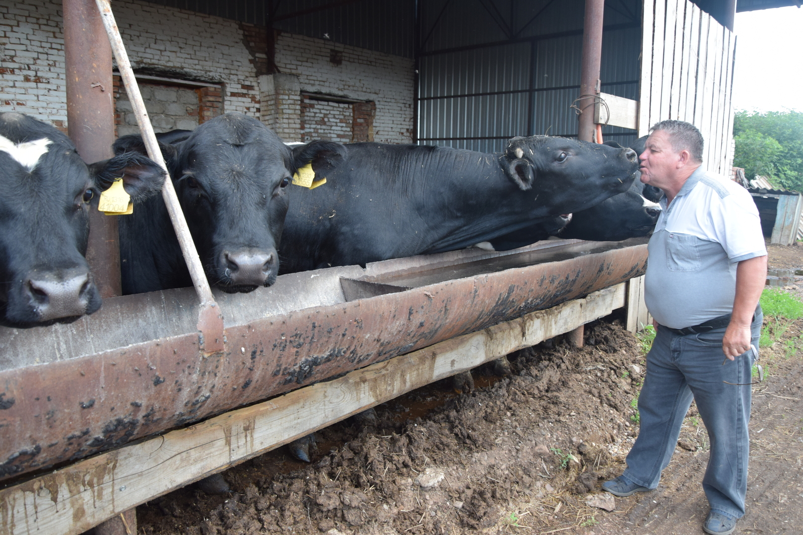 ҒӘЙЕПҺЕҘ ҒӘЙЕПЛЕЛӘР (Хикәйә)