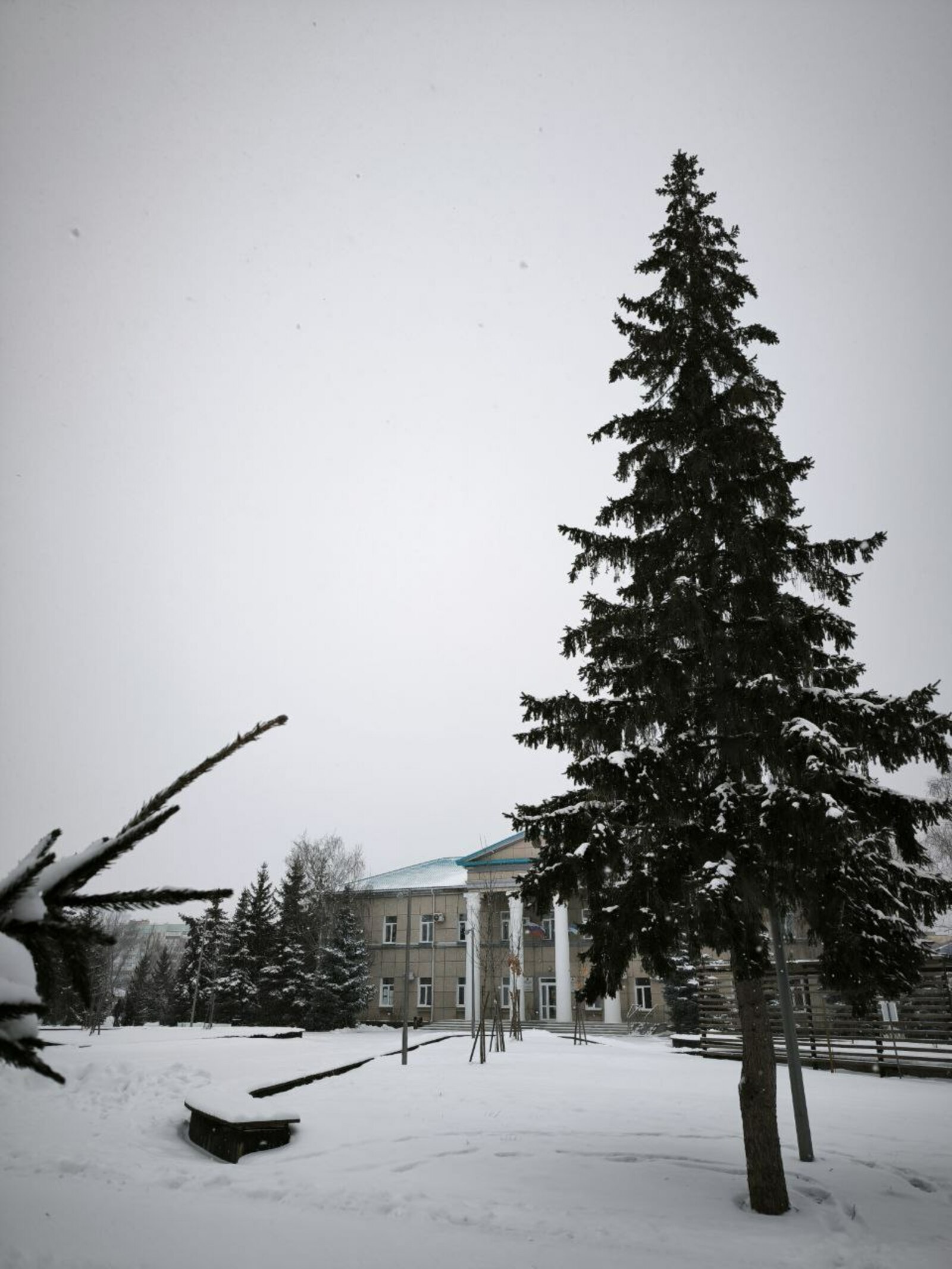 Полиция предупреждает: не загружайте файлы, имеющие в названии «.apk»