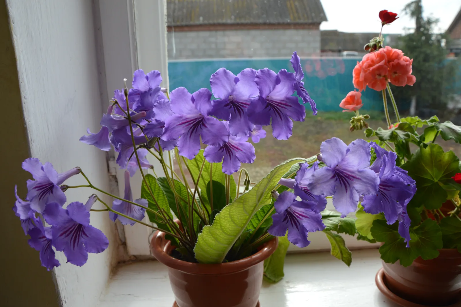 Ризыҡты ҡаплау тураһында