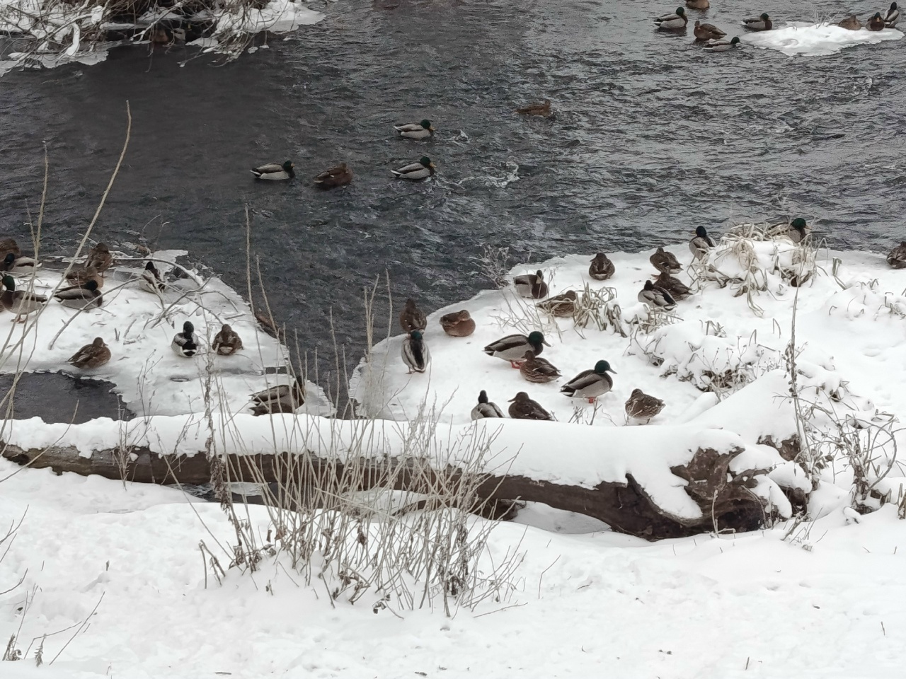 Мәҡәлдәрҙә - халыҡ аҡылы