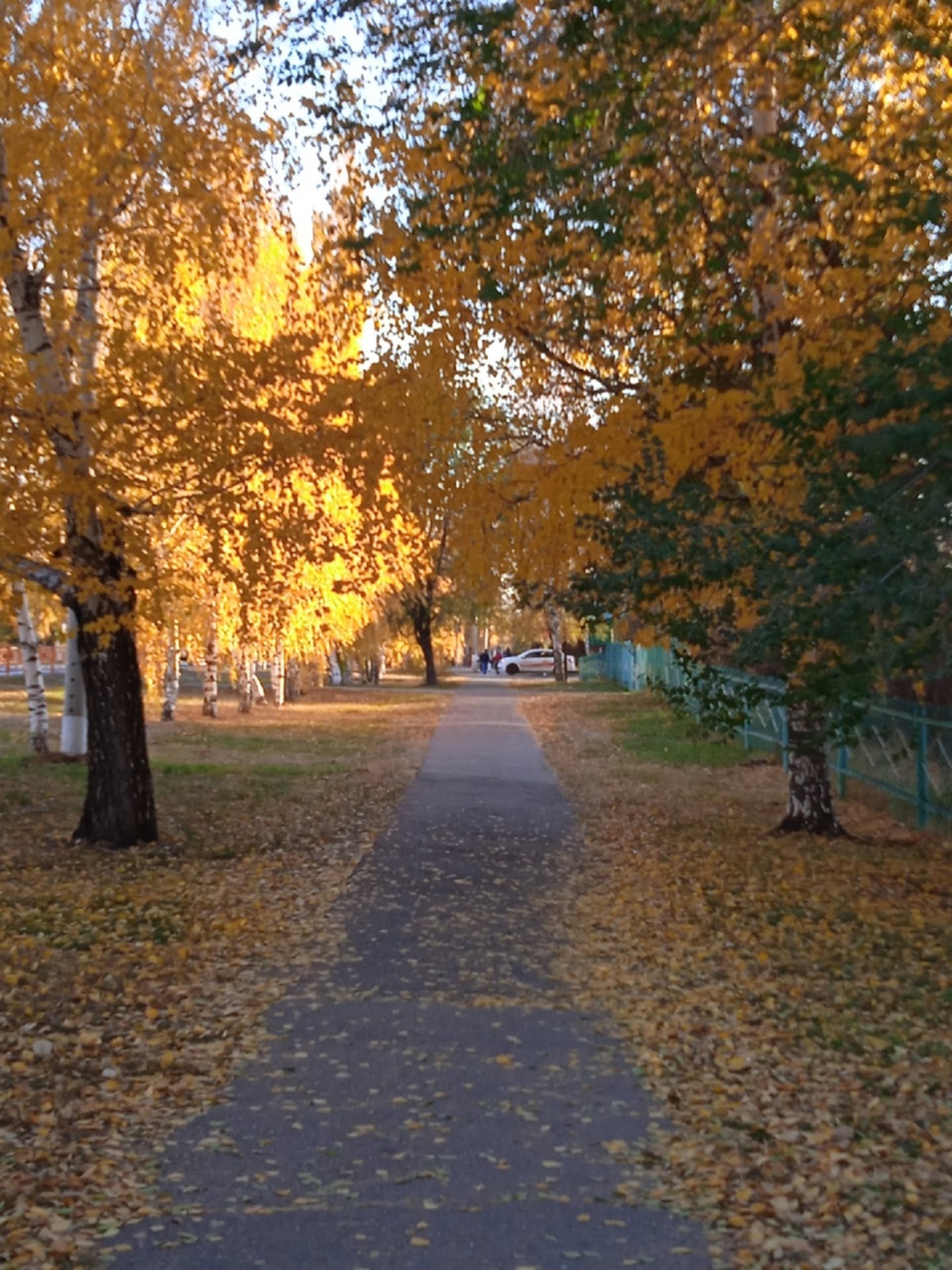 Ғазаплы йөк