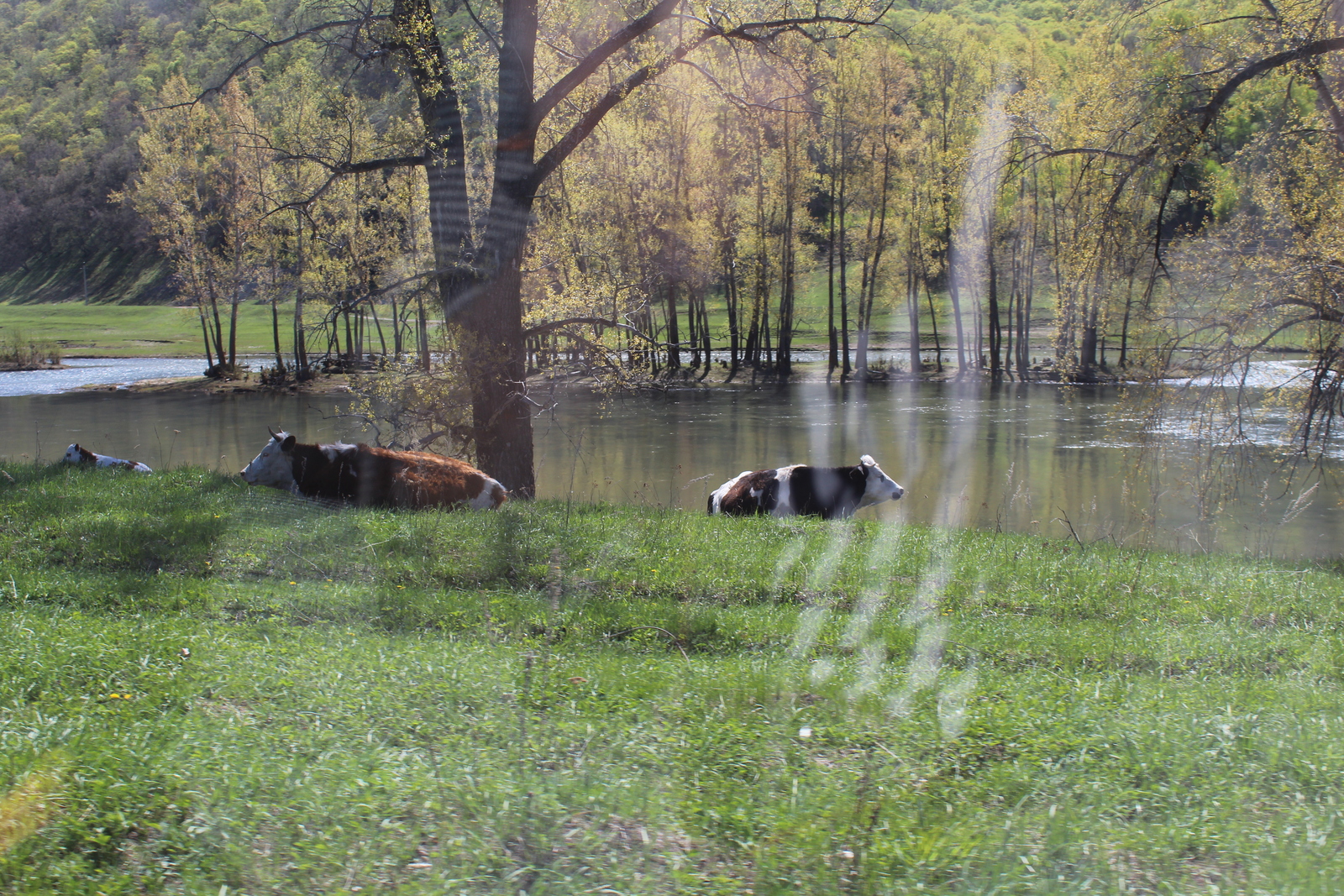 Тәкә мажараһы (башы)