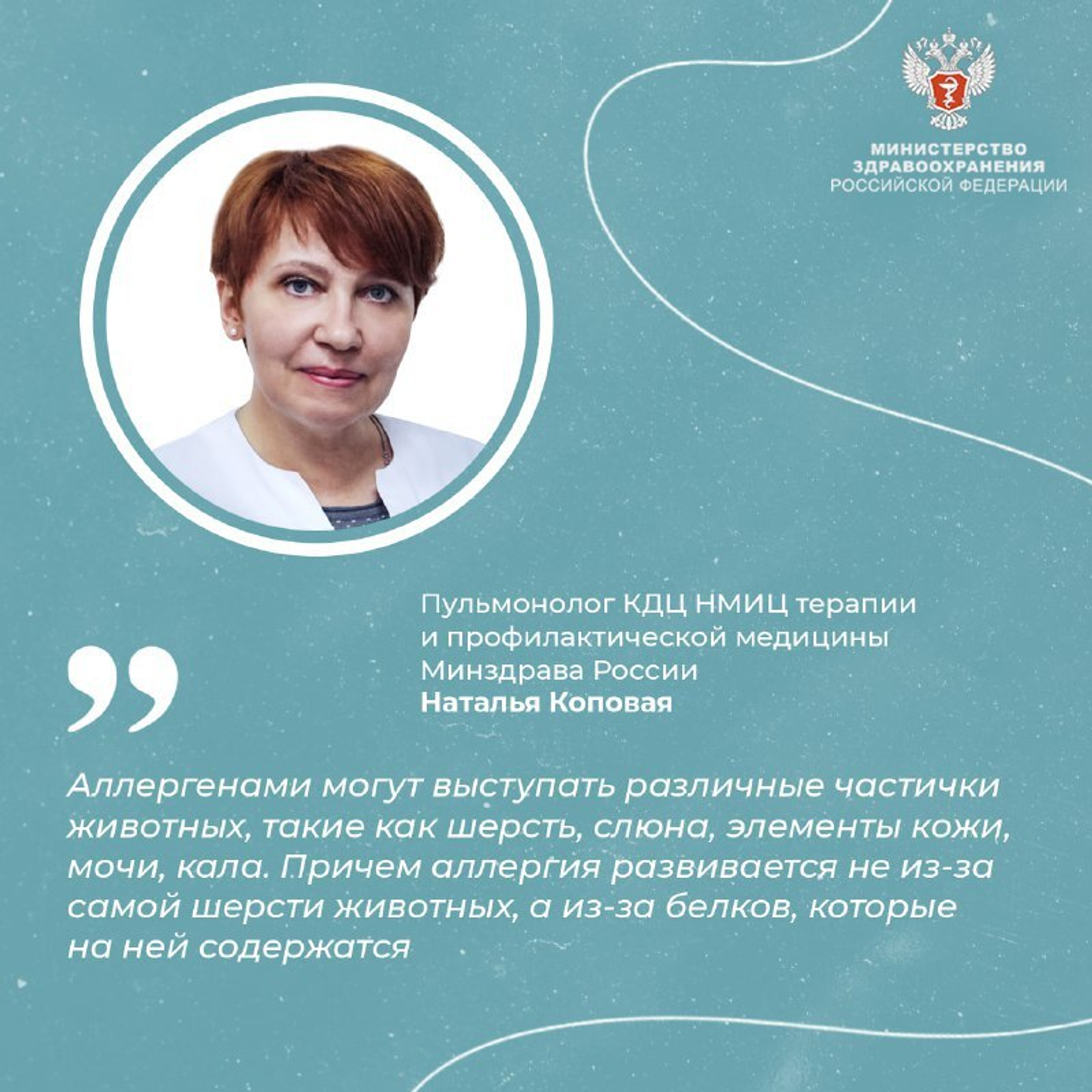 Как проявляется аллергия на кошек и что делать при ее возникновении?