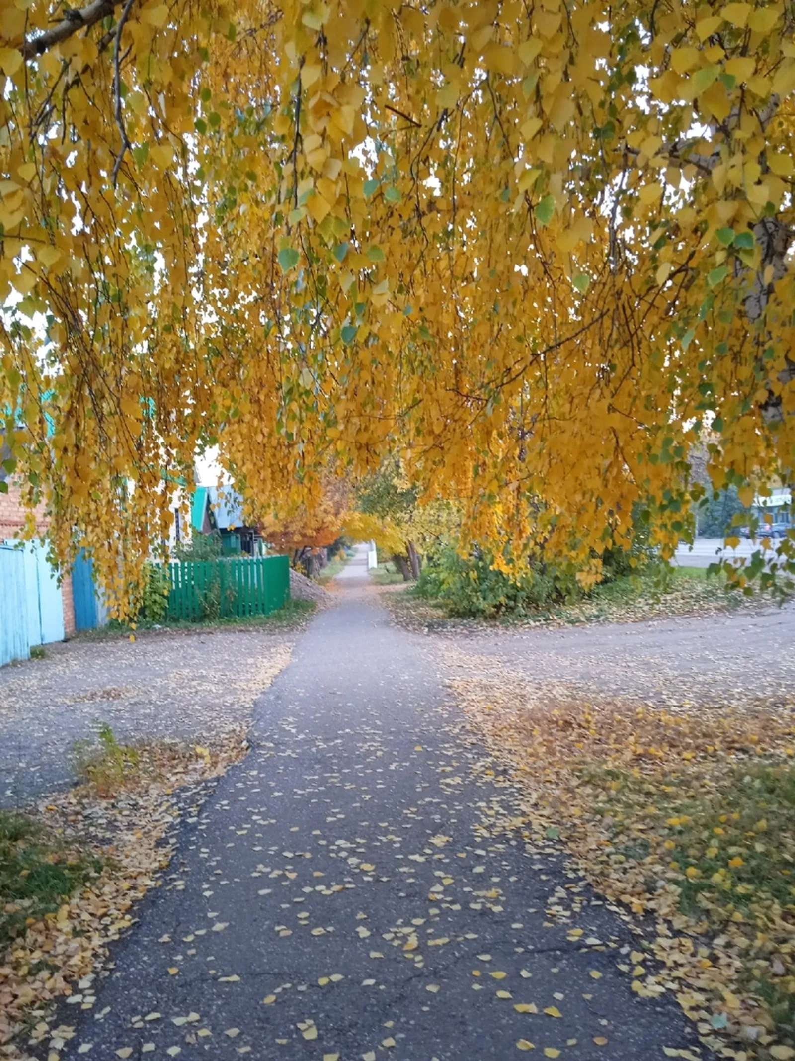 Ижад итәм. Харис ШӘРИПОВ