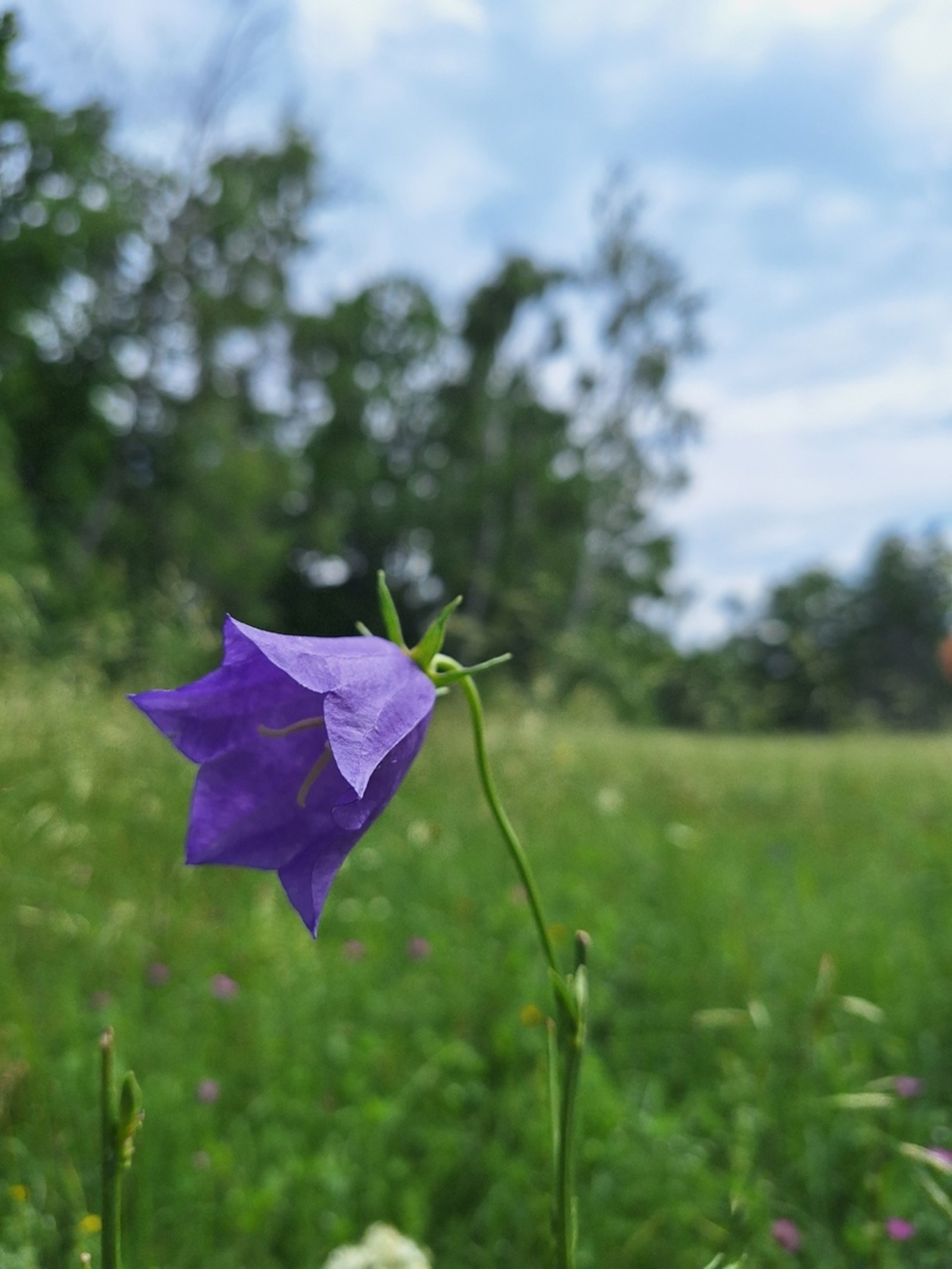 Кемдеңдер – берҙән-бере