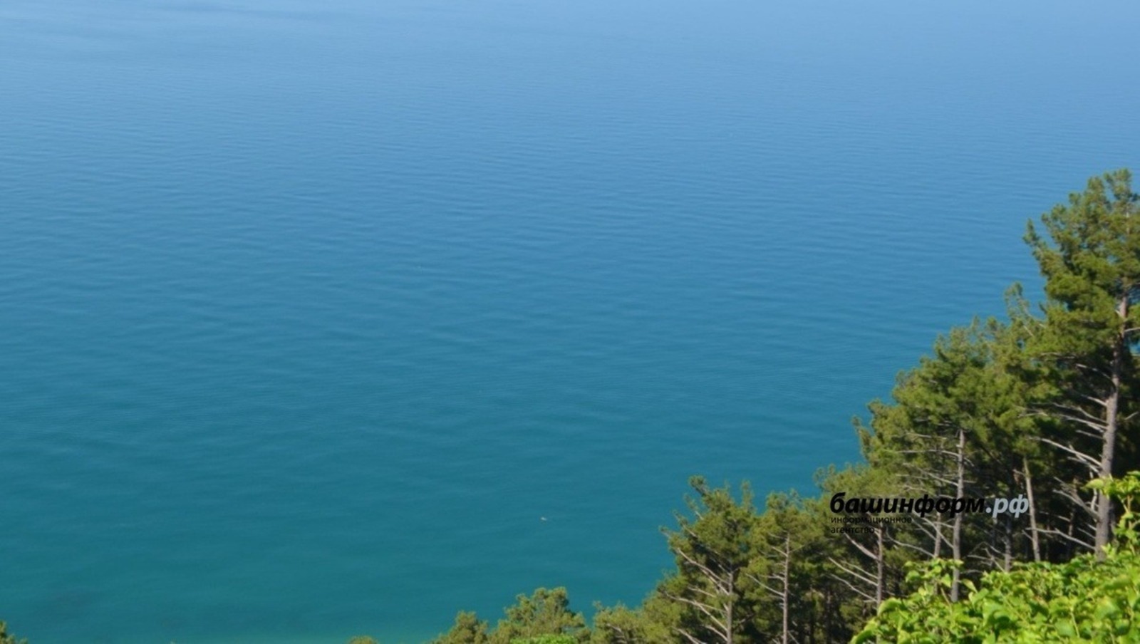 Өфөлә турагент 78 клиентты 14 миллион һумға алдаған