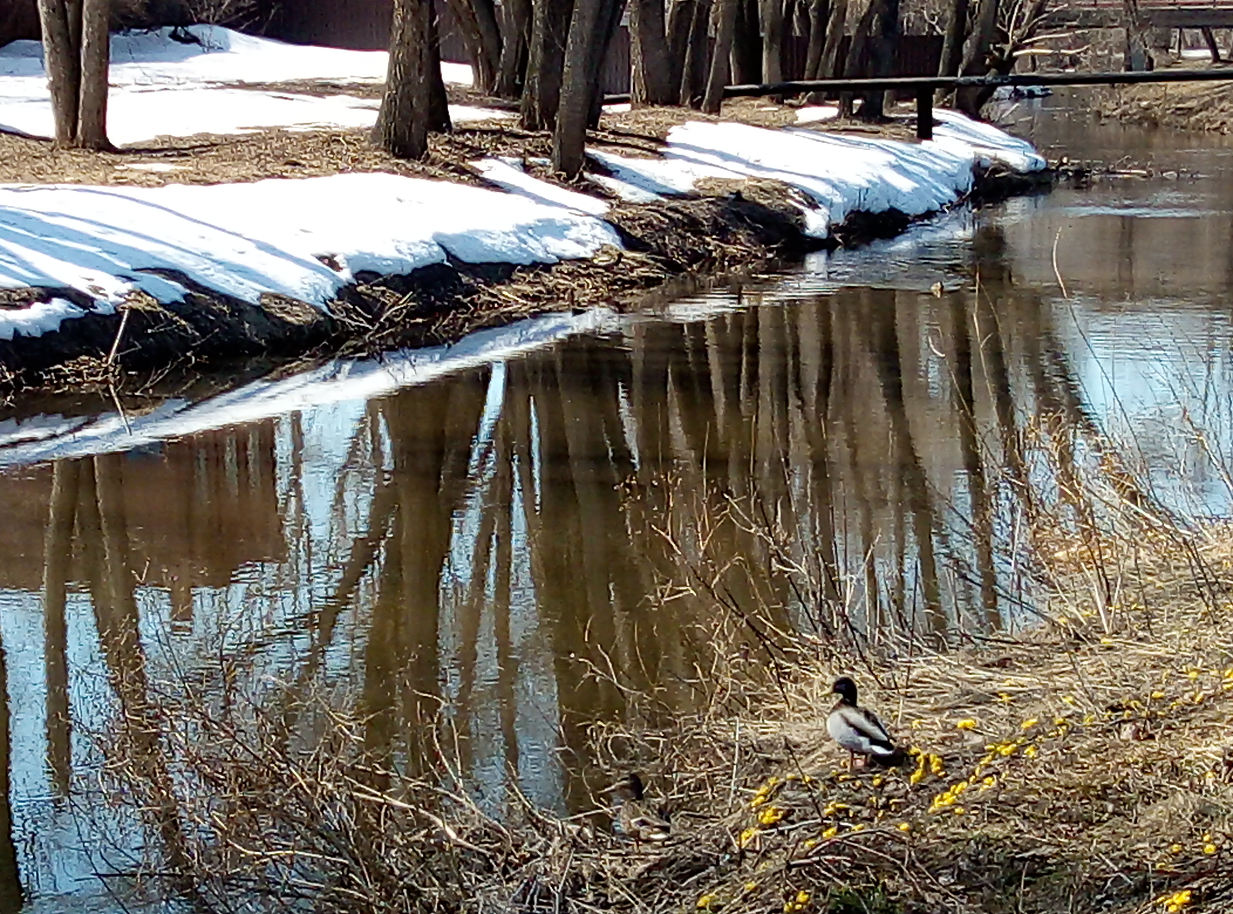 Роль питьевой воды в сохранении и укреплении здоровья