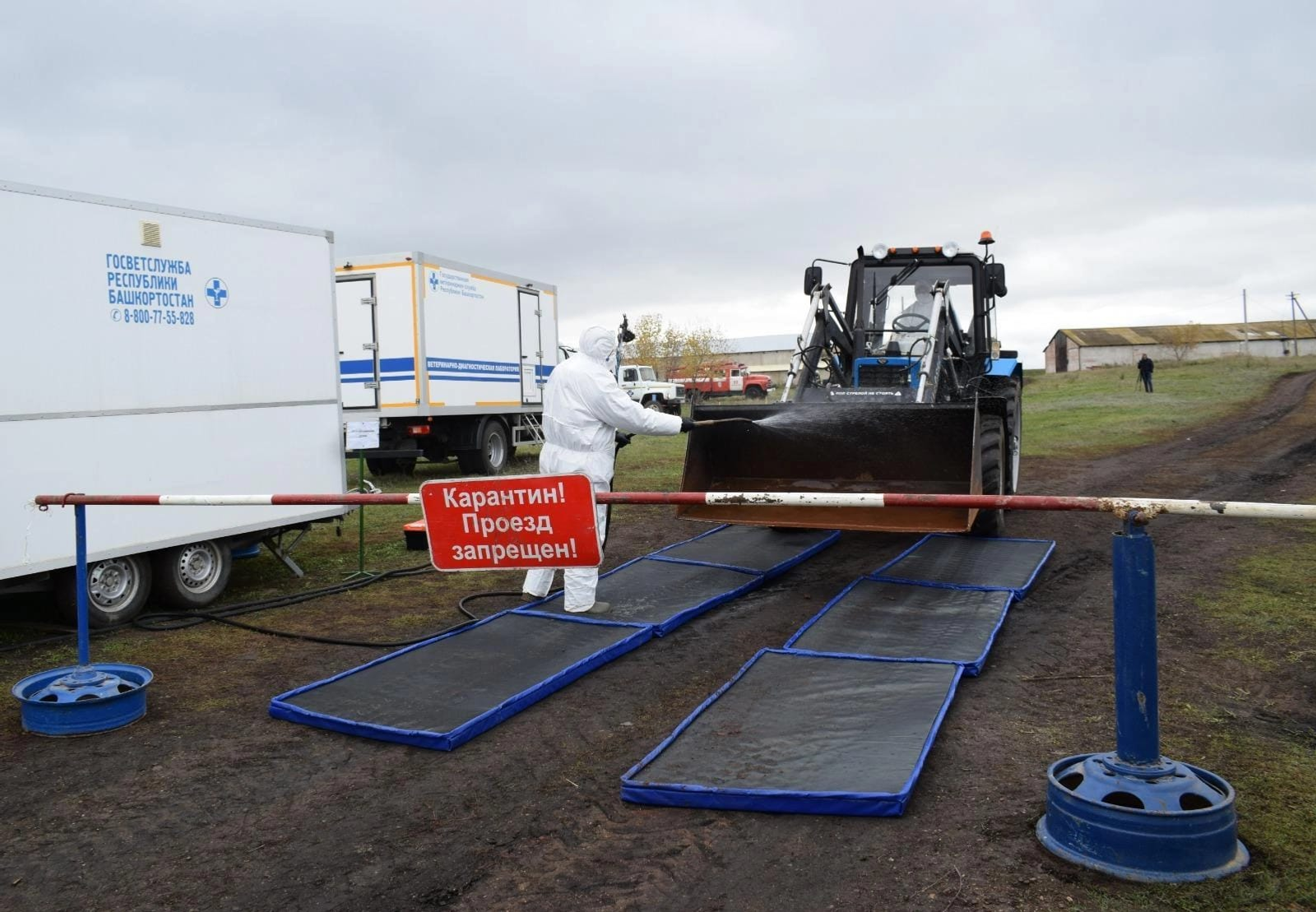 Уяулыҡты юғалтырға ярамай