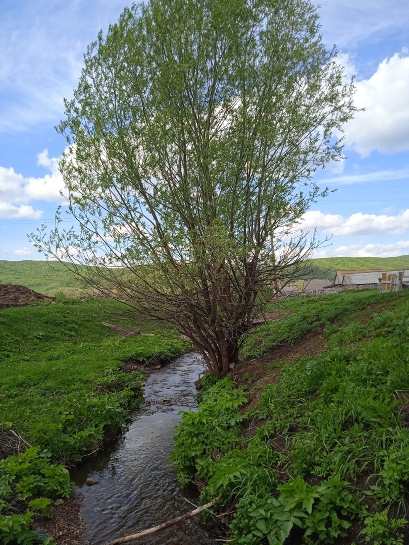 ҺАБАҠ. Хикәйә