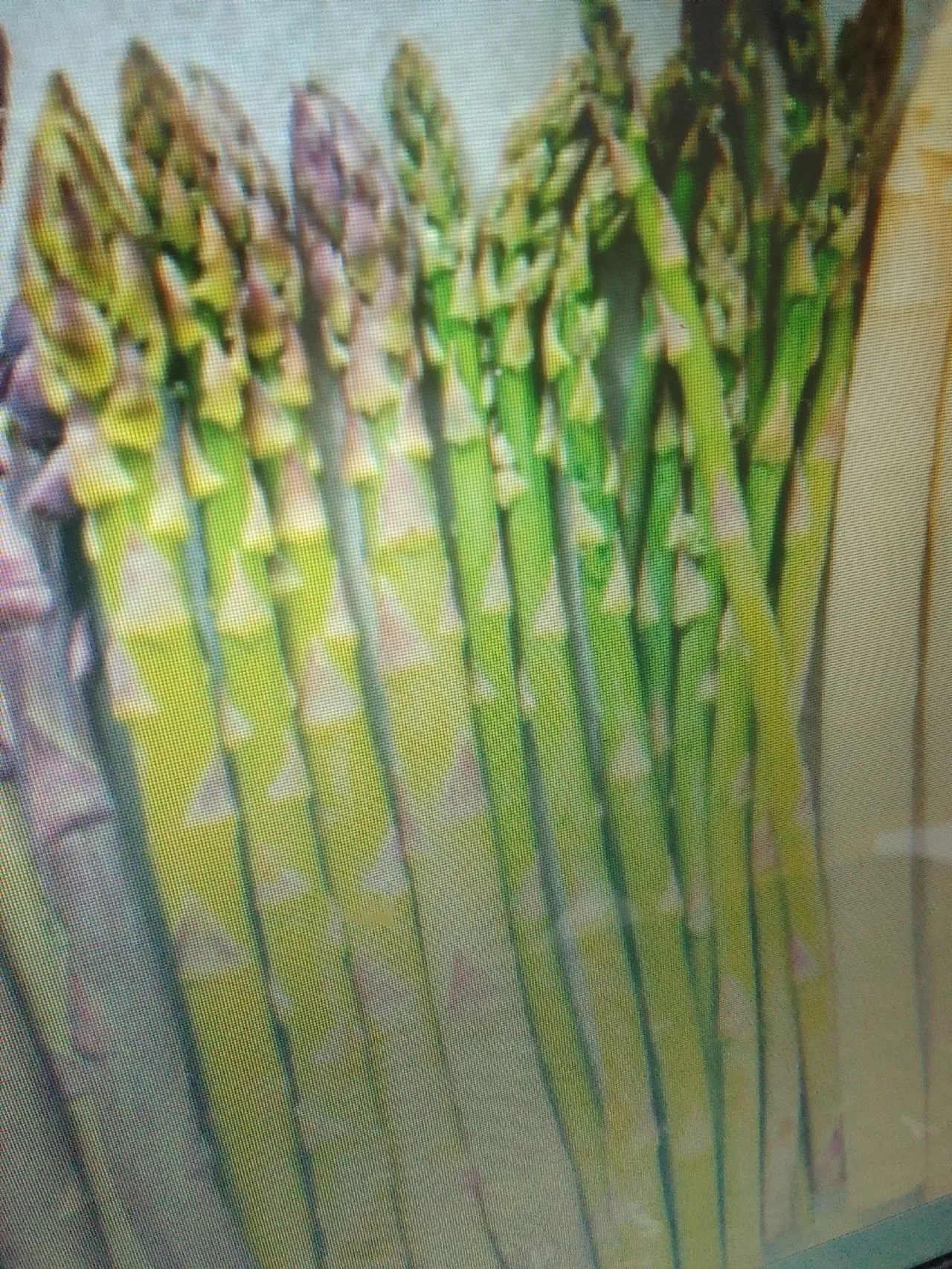 Ҡытайҙар белмәй ашамайҙыр әле