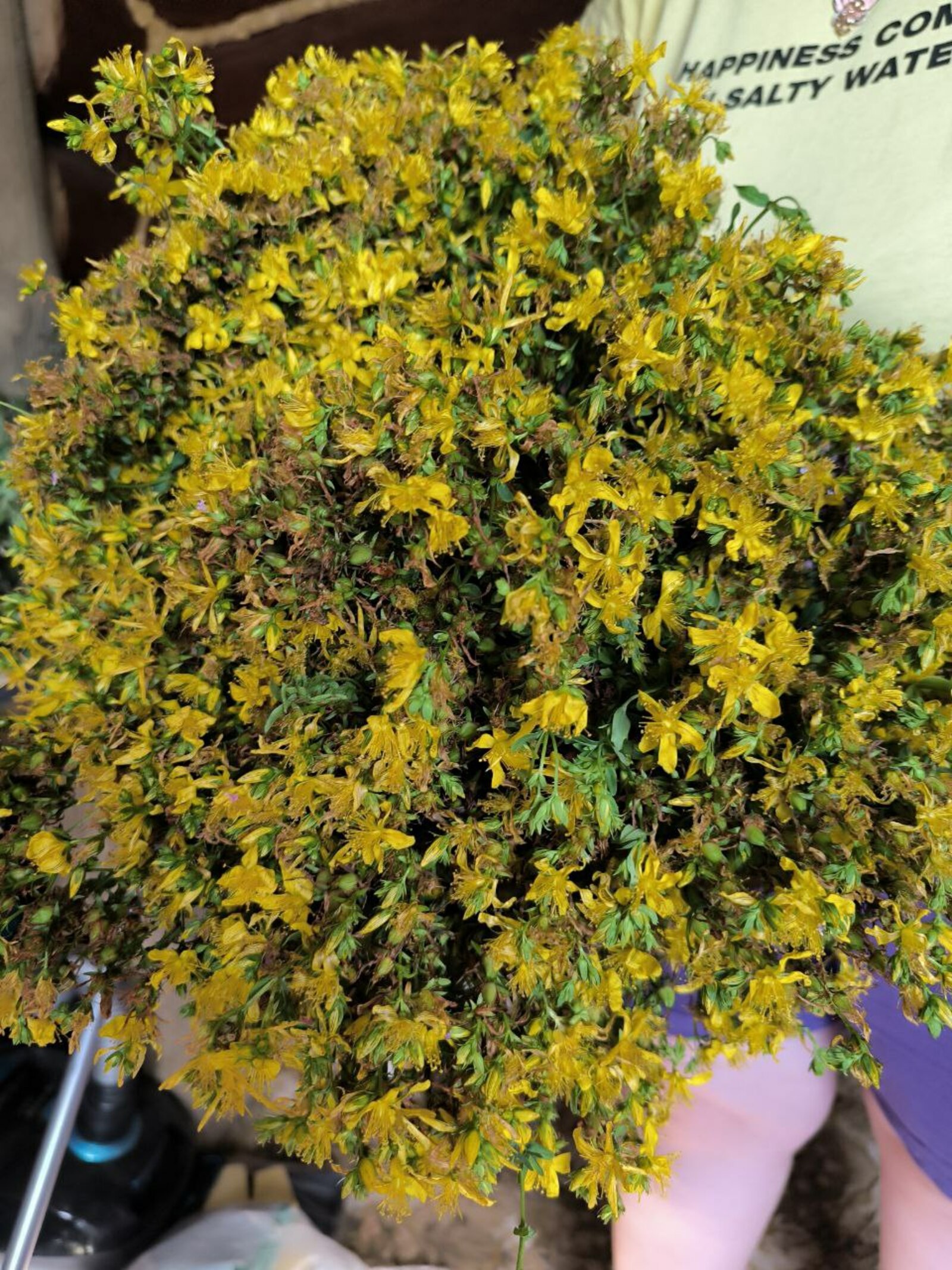 Ифтар доғалары