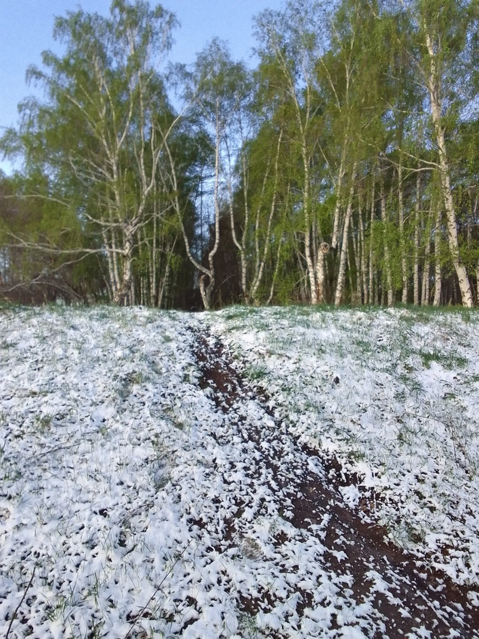 Опасный ветер в Башкортостане: жители массово обращаются в Систему-112