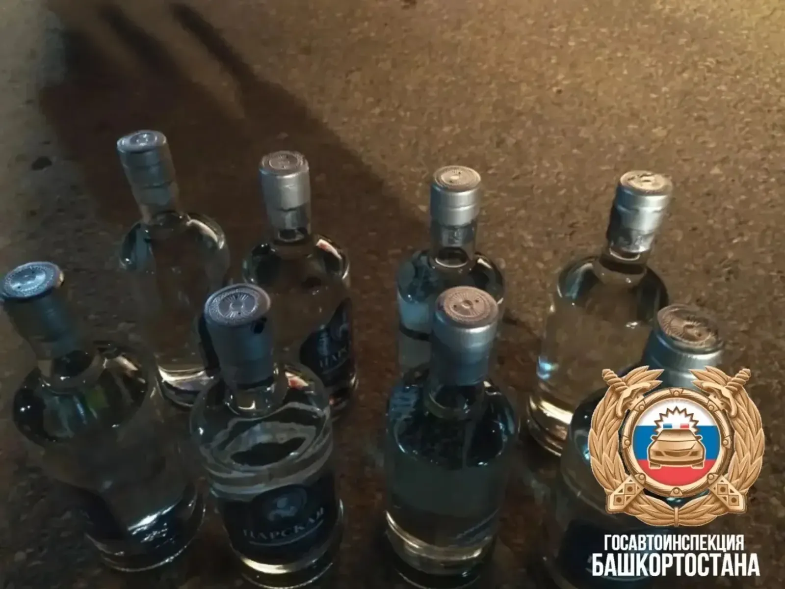 «Чат-бот» на страже порядка
