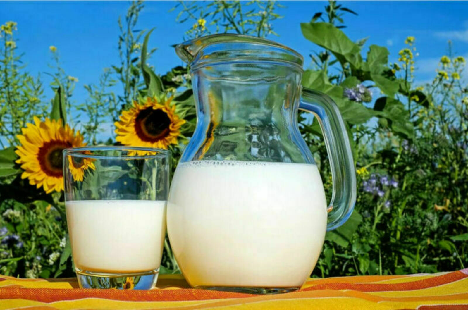 Назвали самые «молочные» районы Башкортостана