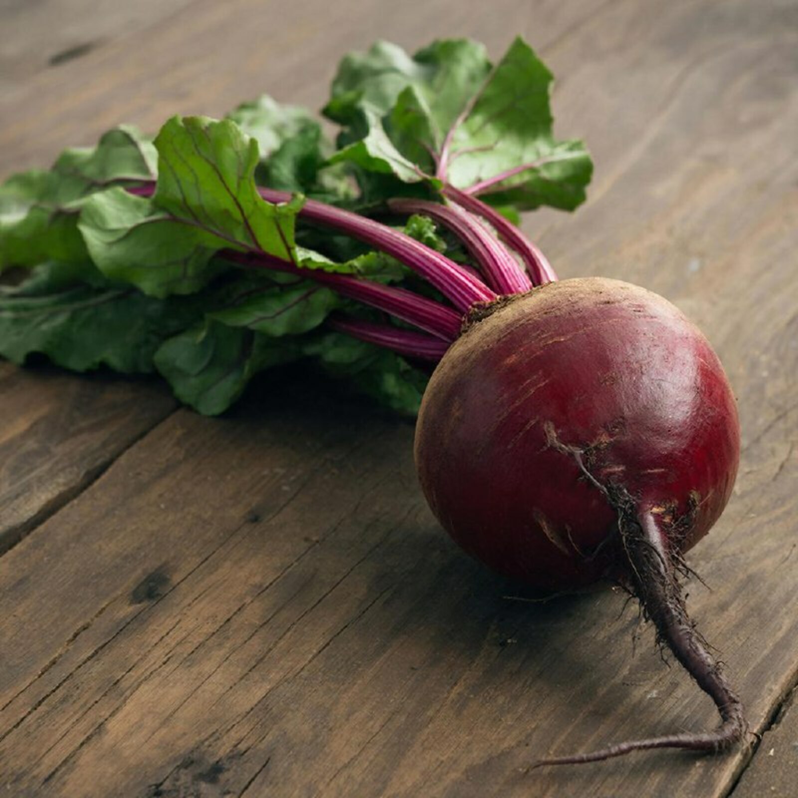 Сөгөлдөрҙөң файҙаһын күрегеҙ