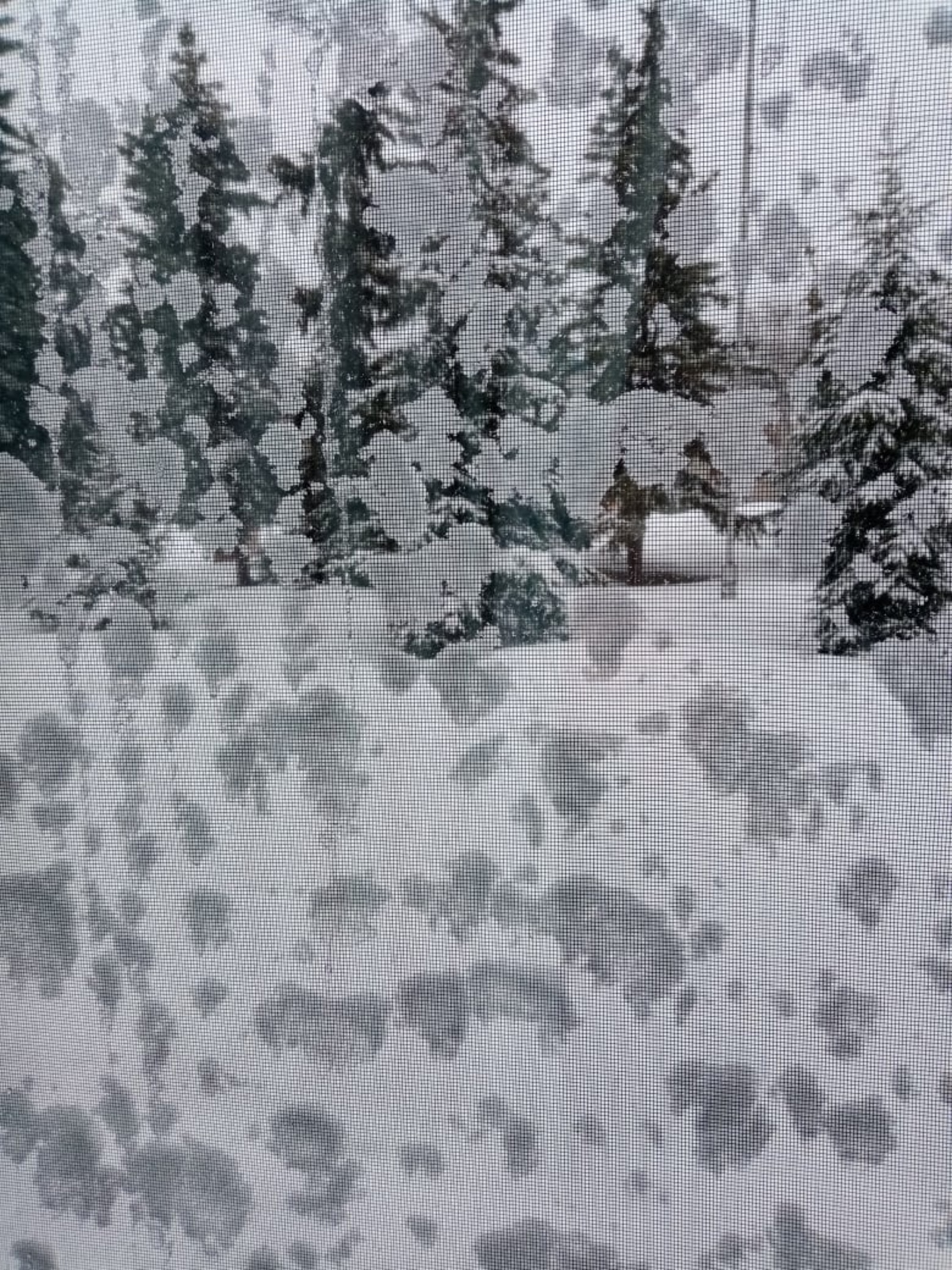 Февраль бураны