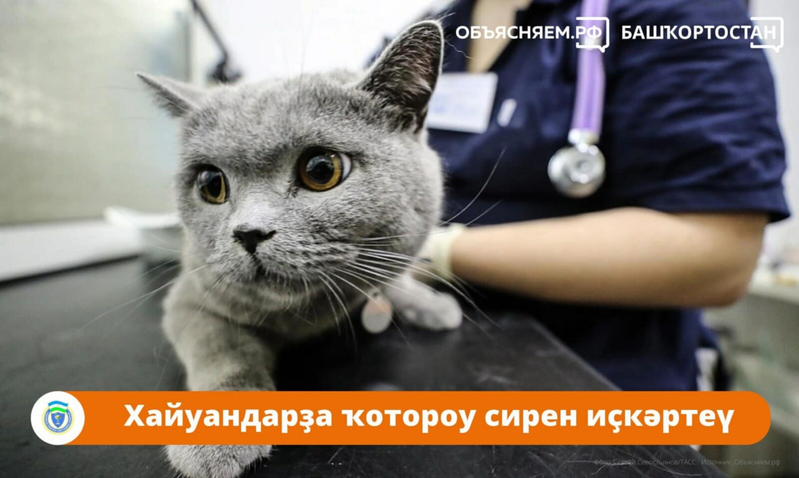 Хайуандарҙа ҡотороу ауырыуын иҫкәртеү тураһында