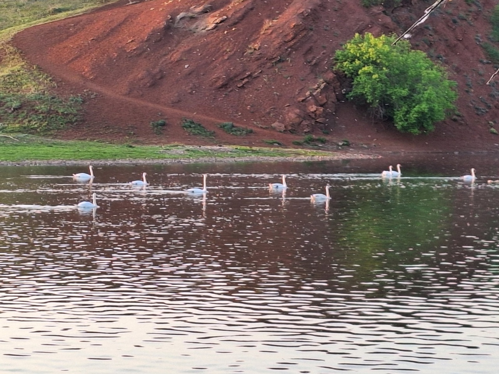 Әйткән һүҙ - атҡан уҡ (аҙағы)