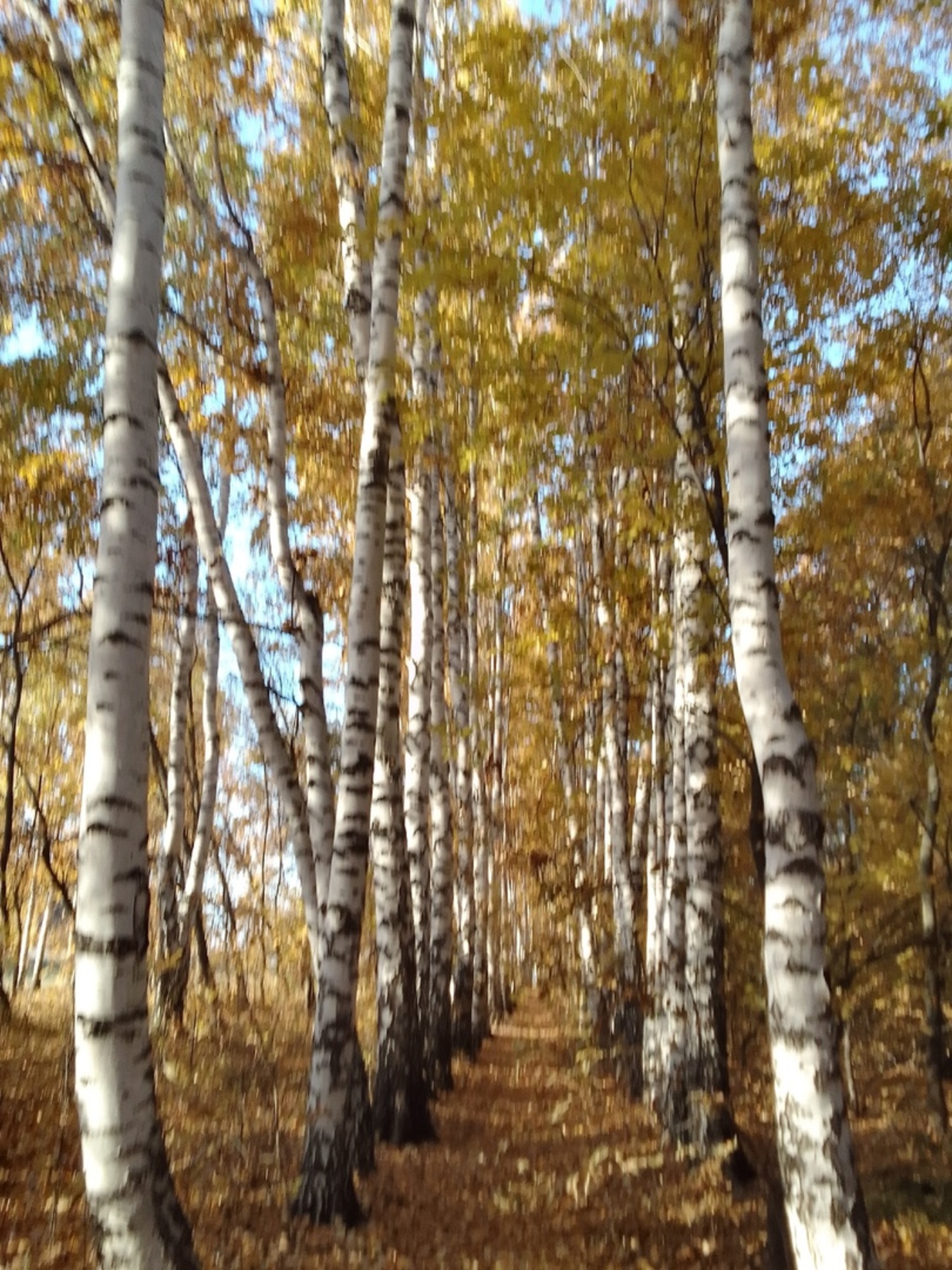 Ҡыҙғансыҡ (Хикәйә)