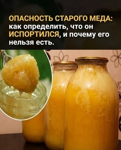 Бывает ли срок годности меда?