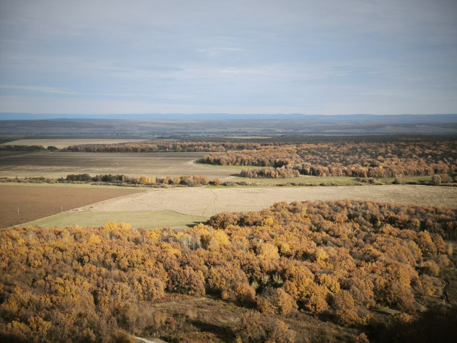 Сафта фәрештәләр кеүек тороғоҙ