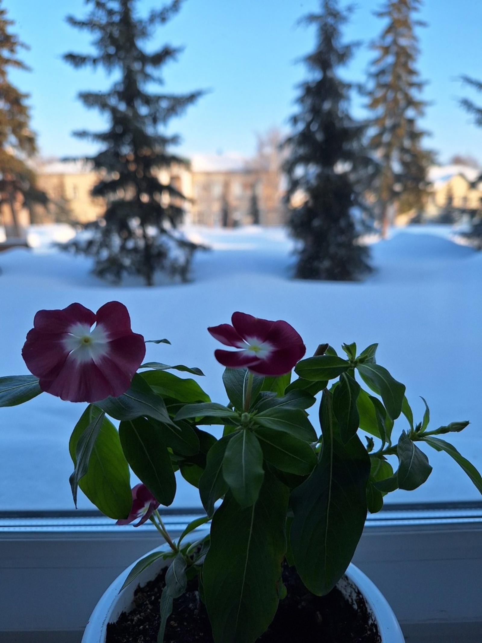 Тынлыҡ, бушлыҡ…