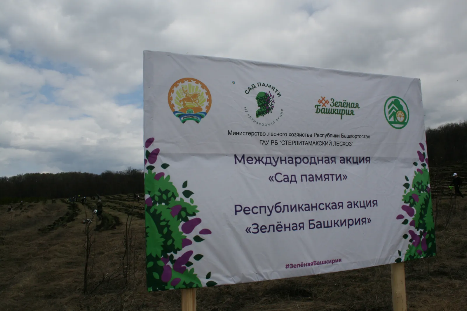 Во время республиканской акции «Зелёная Башкирия» высадят 4,5 тысячи деревьев