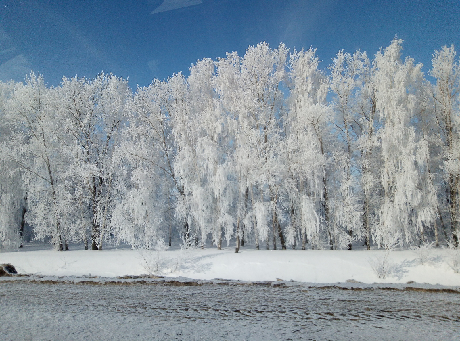 Синоптиктар Башҡортостанда ғинуарҙың икенсе декадаһына фараз бирҙе