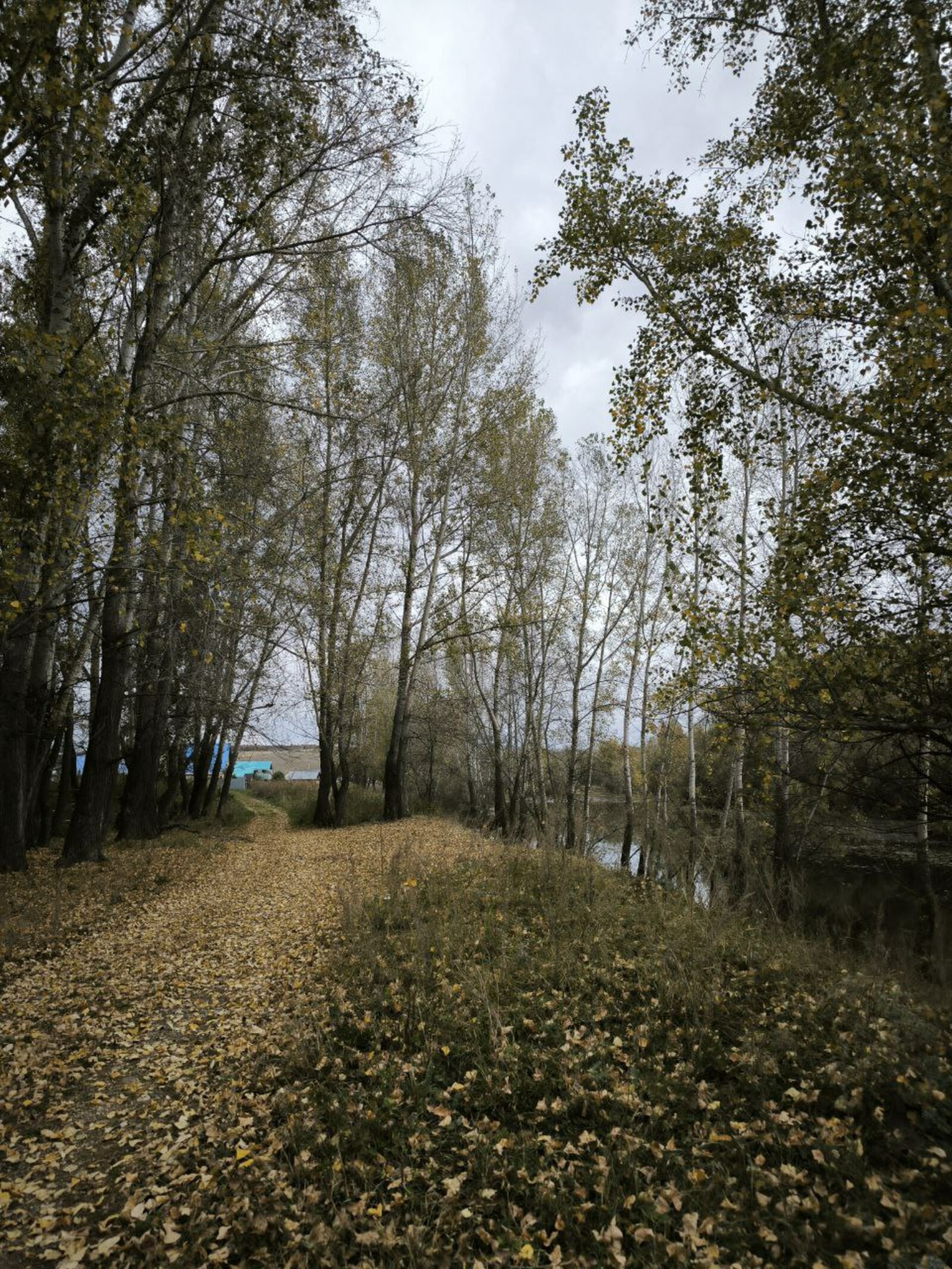 УРМАНДА ПРЕЗИДЕНТ БУЛМАЙ!