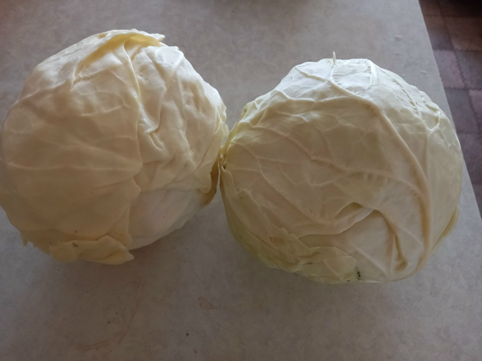 СОРТА КАПУСТЫ