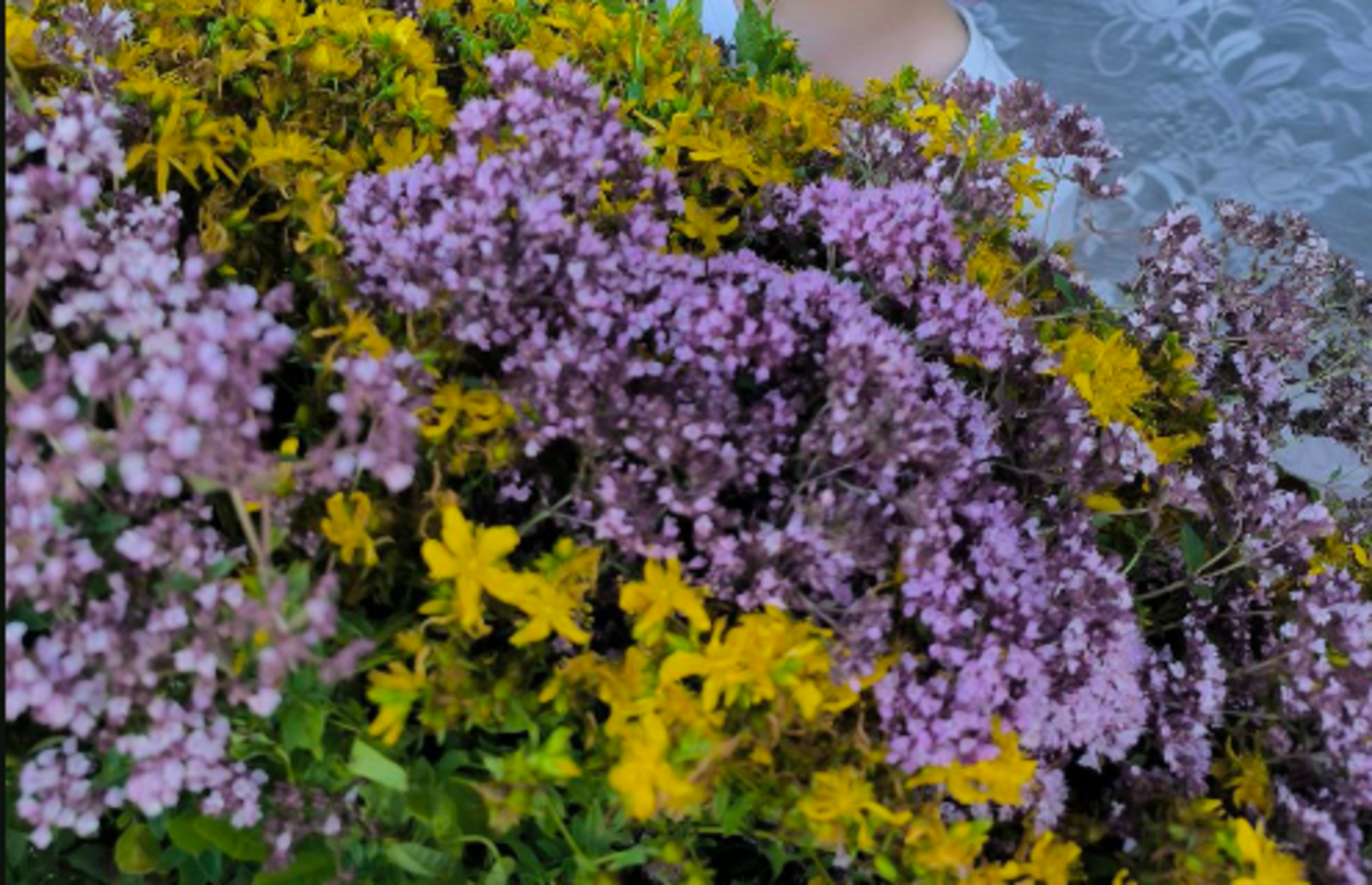 МӘТРҮШКӘЛЕ СӘЙҘӘР ЮҠҠА ҒЫНА МАҠТАЛМАЙ.