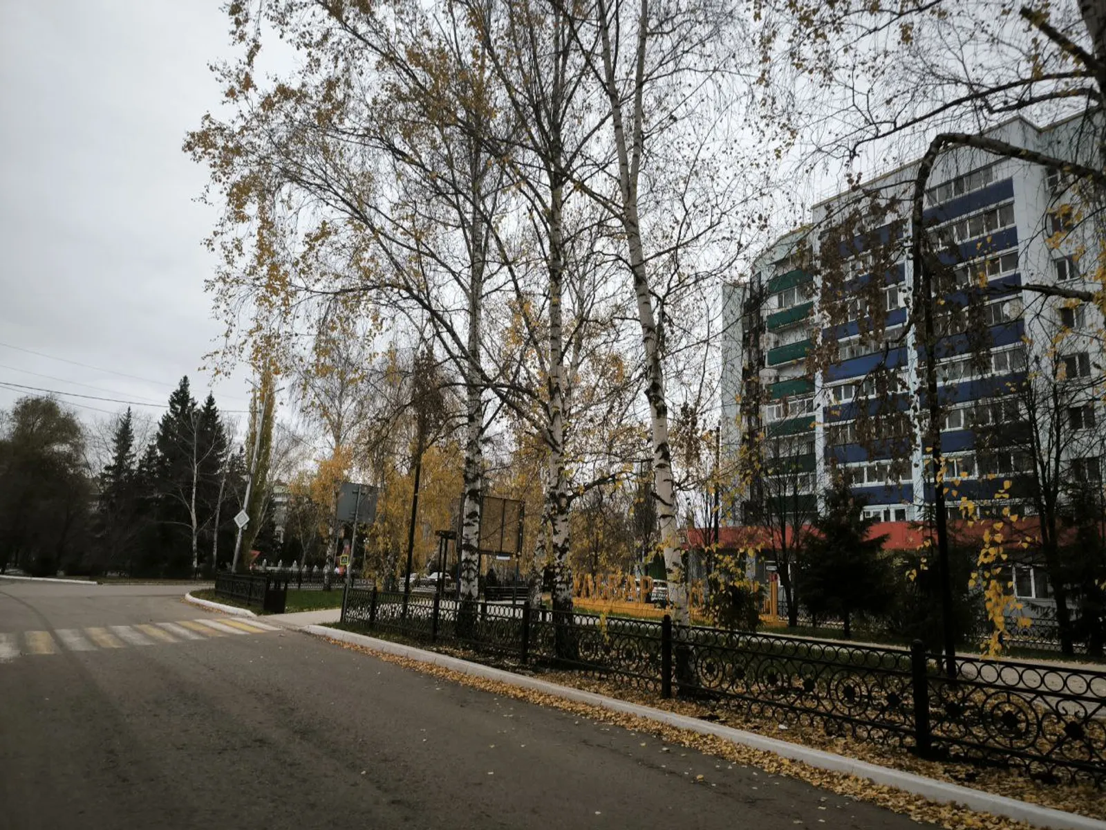 Глава Башкирии поручил заняться проектом строительства собачьего приюта