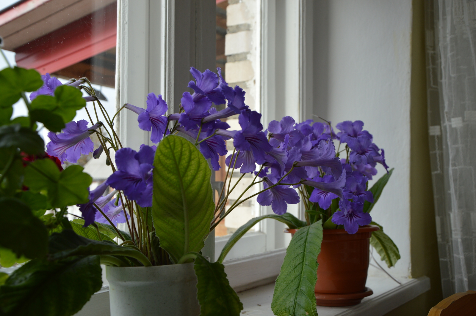 Барыһы ла үткәндәрҙә