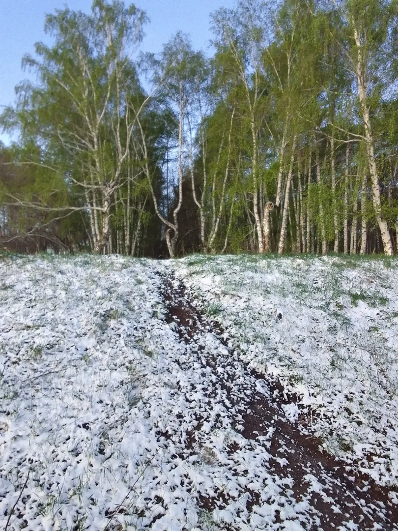 Тәбиғәт сюрпризын әҙерләй әле