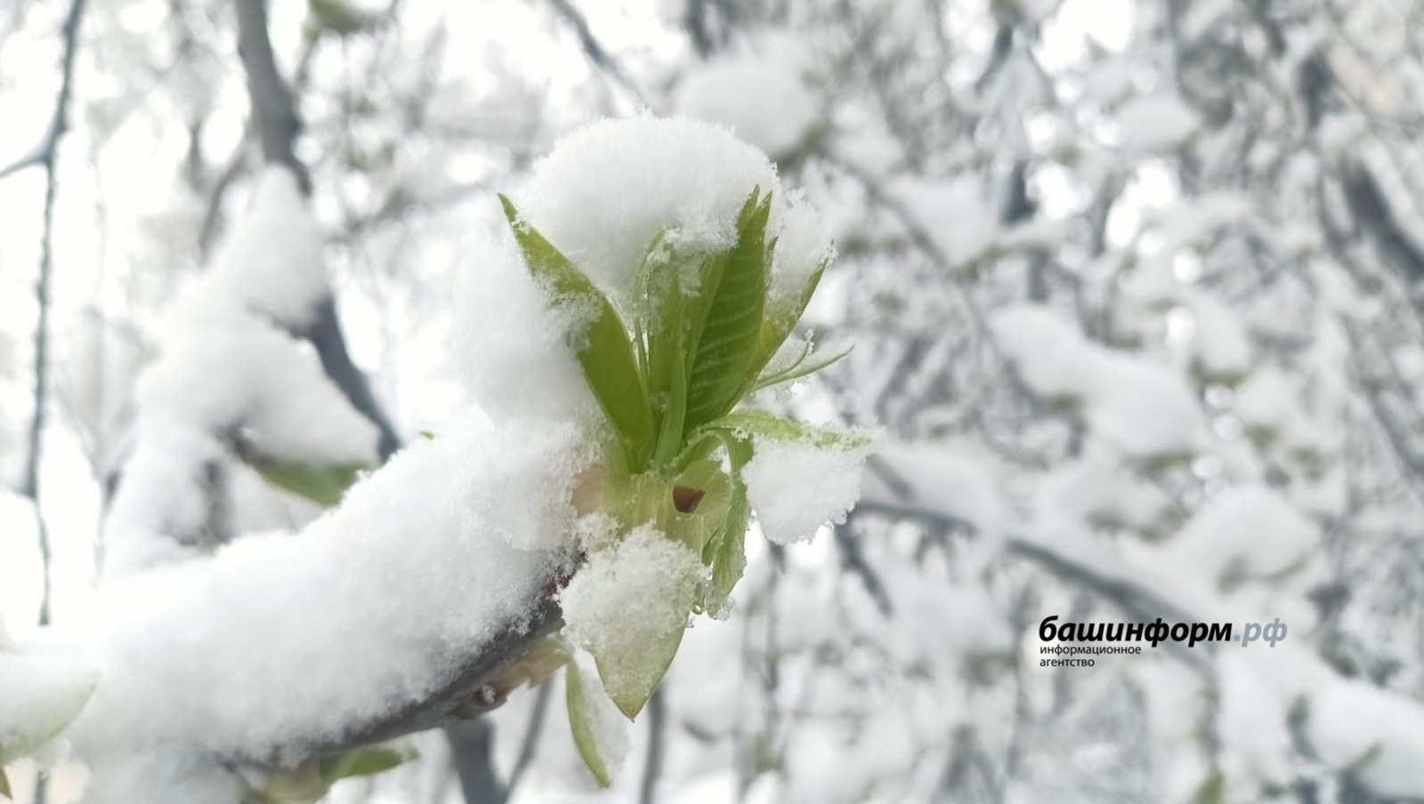 Синоптики рассказали о погоде в начале весны в Башкирии