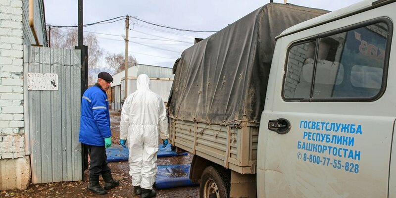 Вспышка птичьего гриппа зафиксирована в Благоварском районе