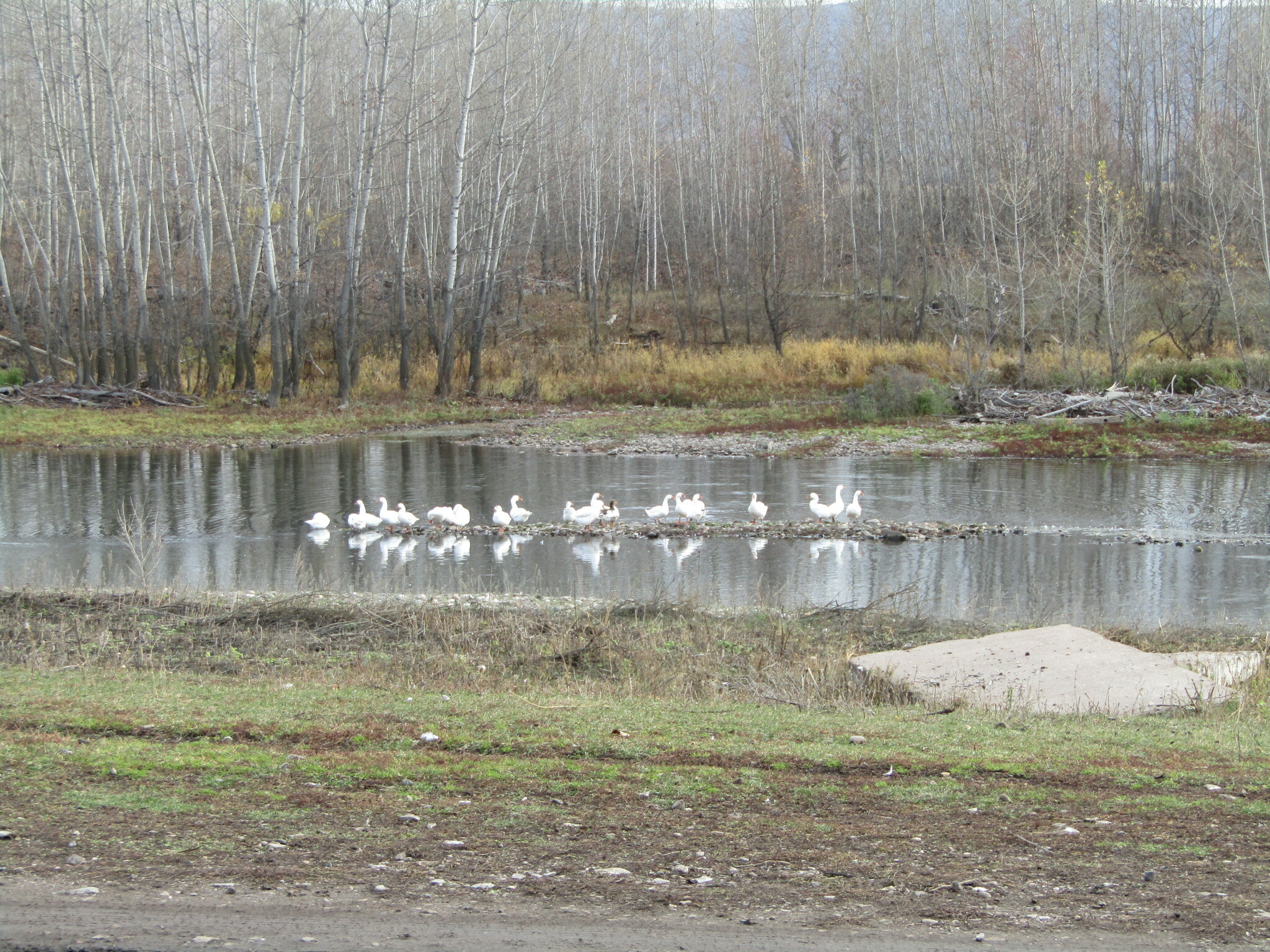 Игеҙәктәр (булған хәл)