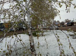 Ғибрәтле яҙмыш. Миңзәлә Хәлилова.