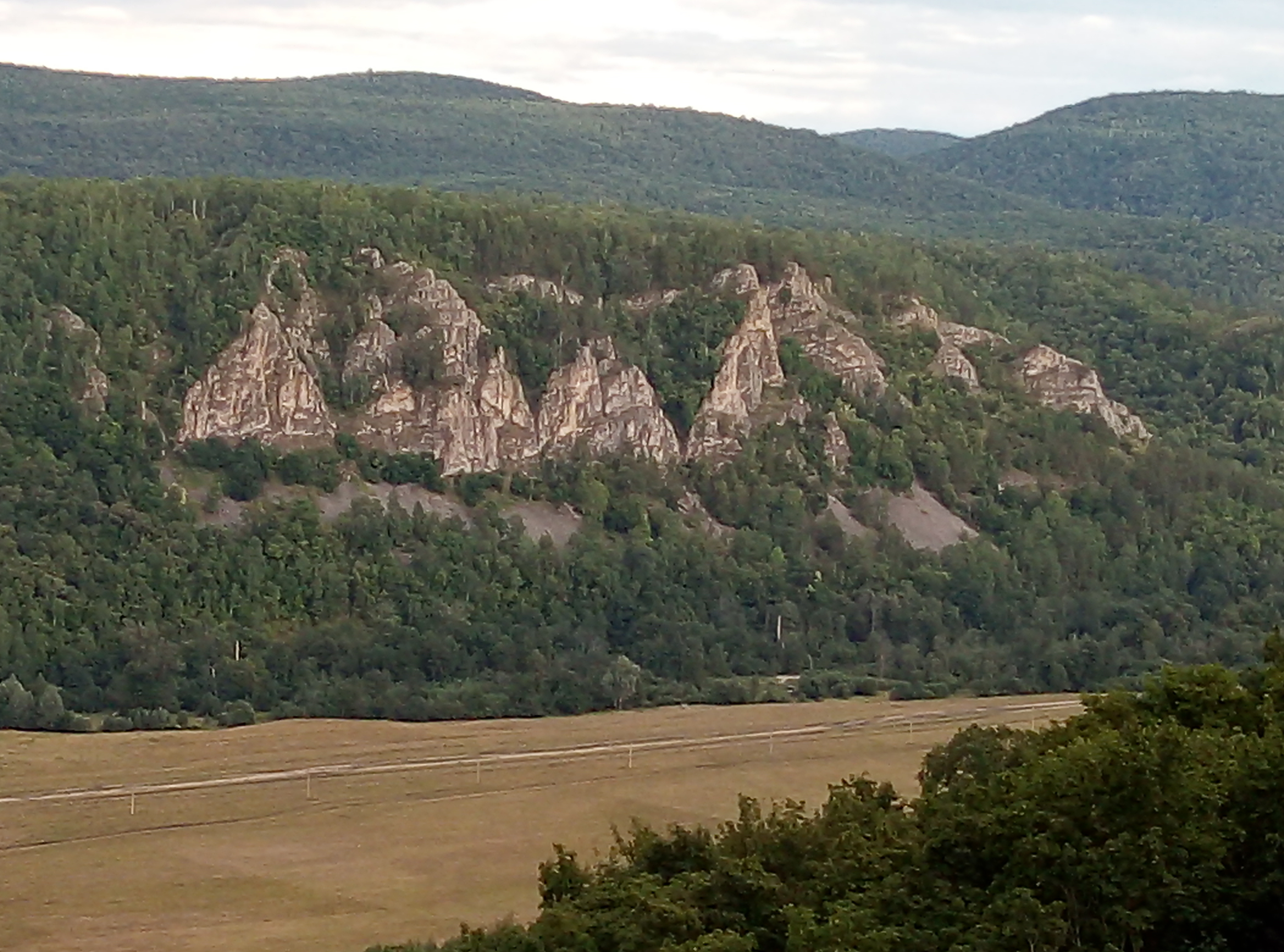 В заповеднике Башкирии медведь напал на спортсмена